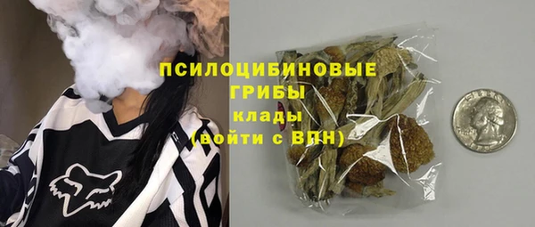 амф Вязьма
