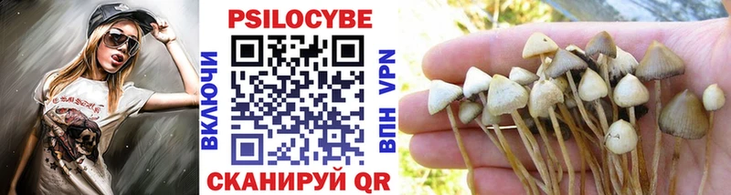 Купить  Сыктывкар  Галлюциногенные грибы мухоморы 
